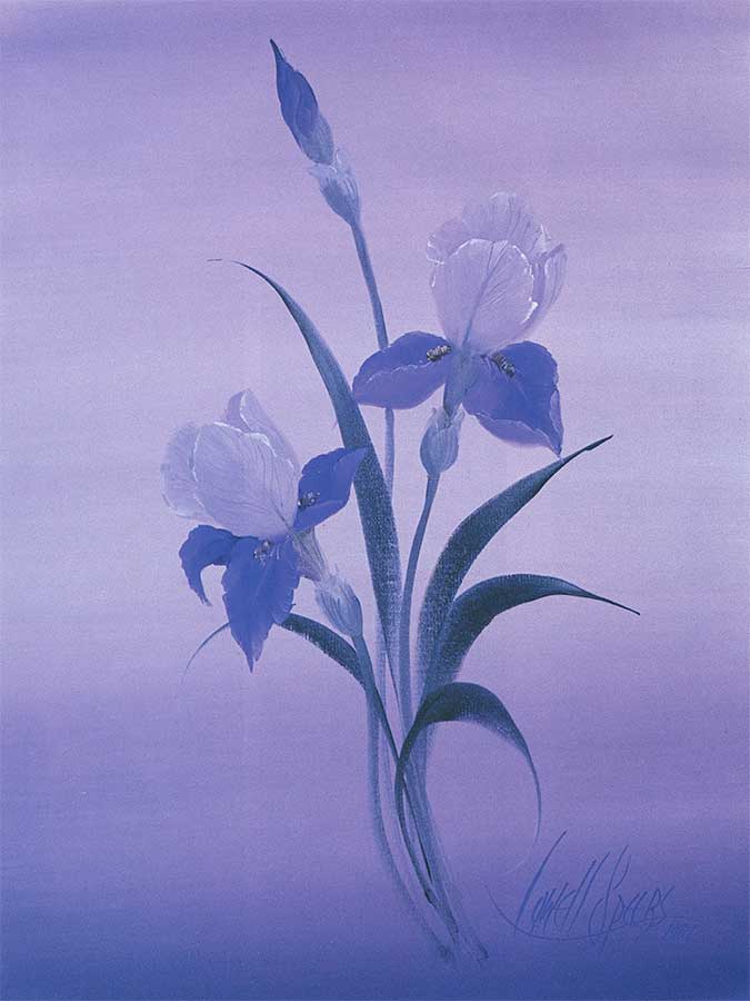 Lavender-Iris1200