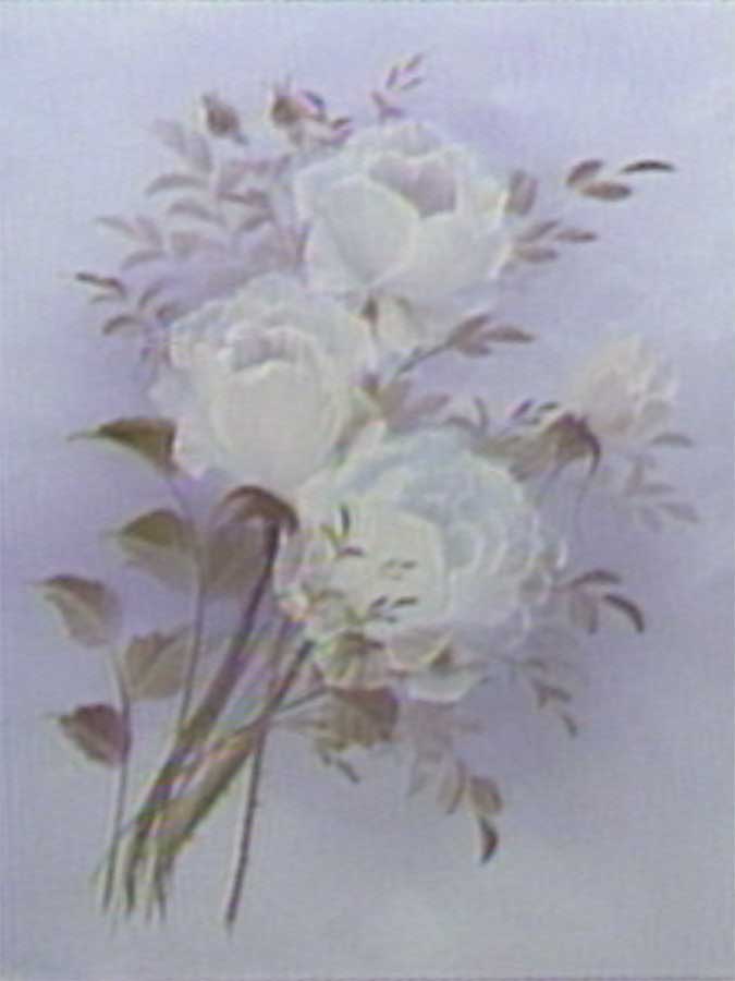 White-Roses-II1200