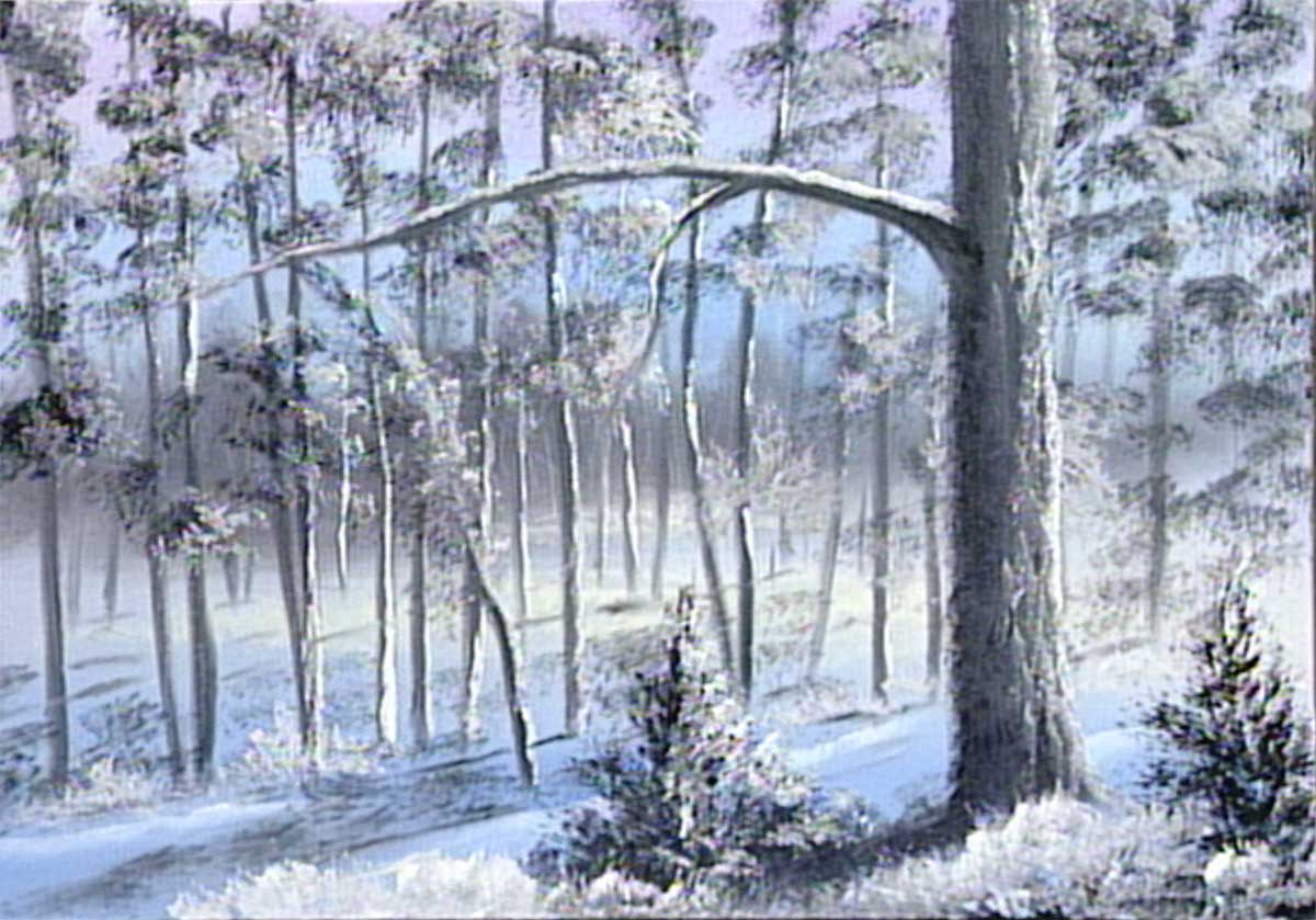 Winter-Forest1200